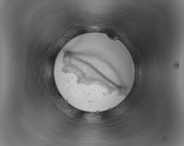 X0000114630331200911101242