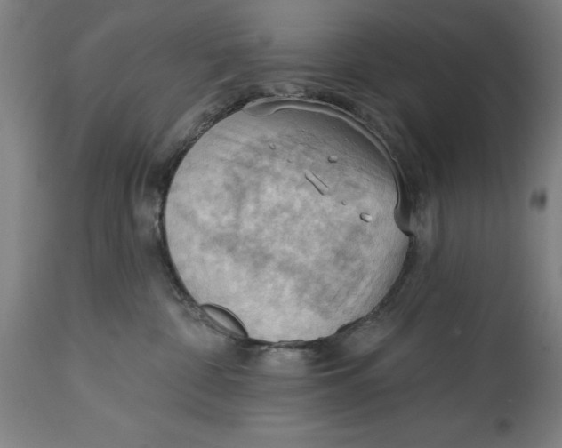 X0000114630332200911101242