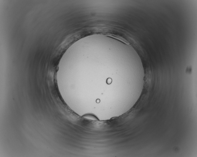 X0000114630333200911101242