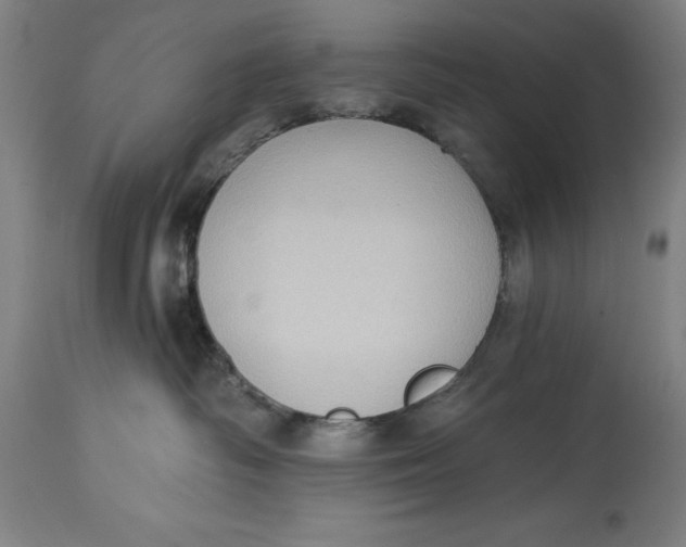 X0000114630334200911101242