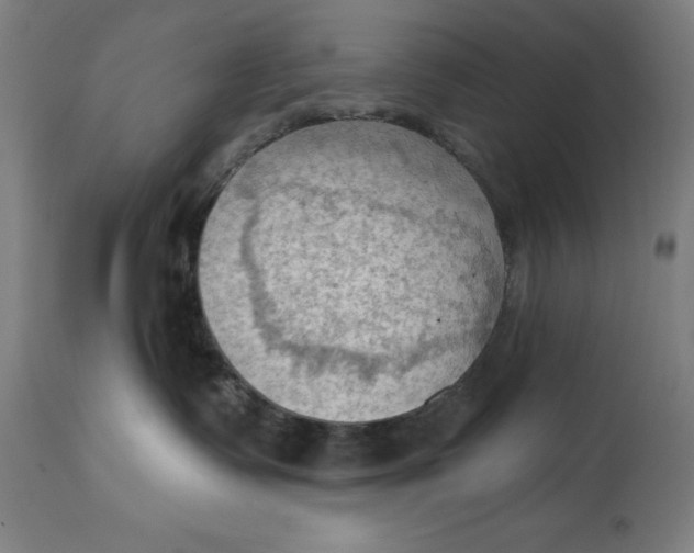 X0000114630335200911101242