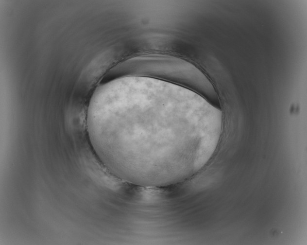 X0000114630336200911101242