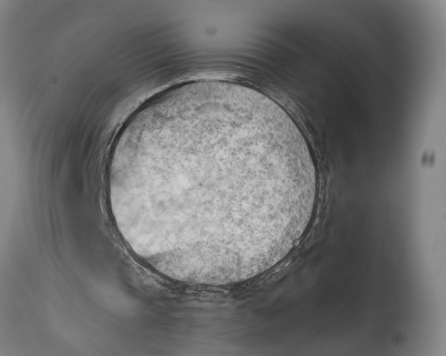 X0000114630337200911101241