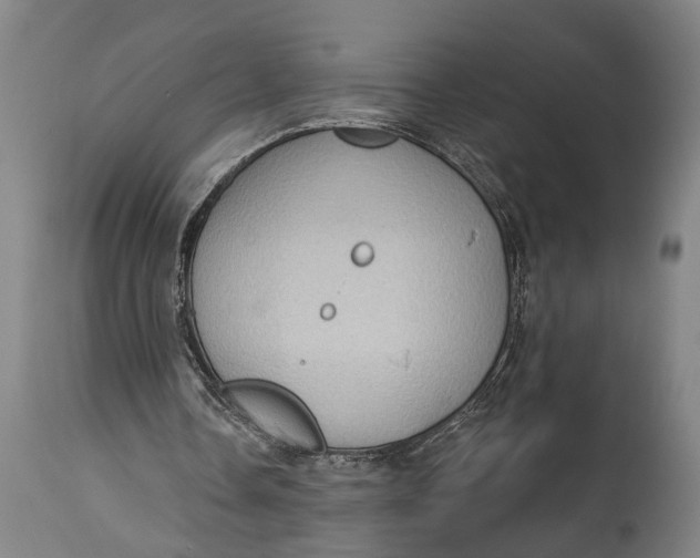 X0000114630338200911101241