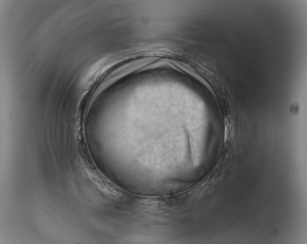 X0000114630339200911101241