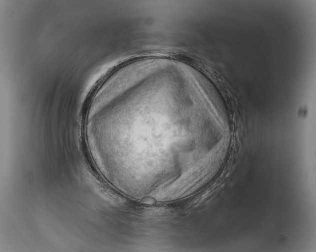 X0000114630342200911101241