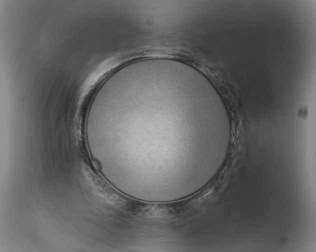 X0000114630343200911101241