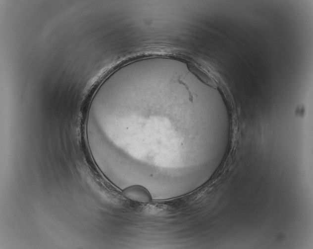 X0000114630346200911101241