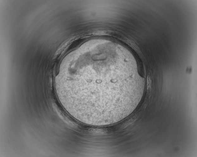 X0000114630349200911101241