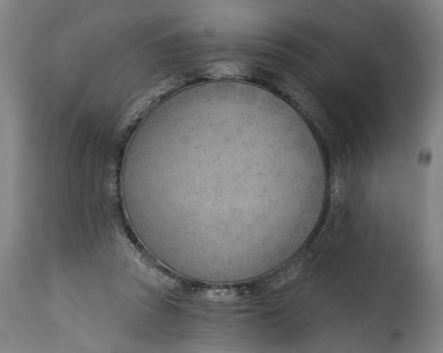 X0000114630353200911101241