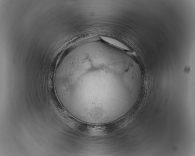 X0000114630359200911101241