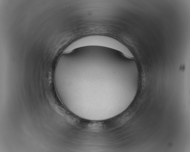 X0000114630362200911101241