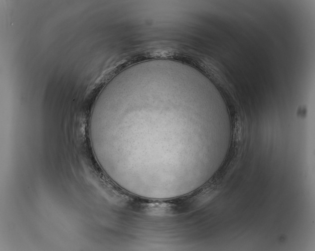 X0000114630363200911101241