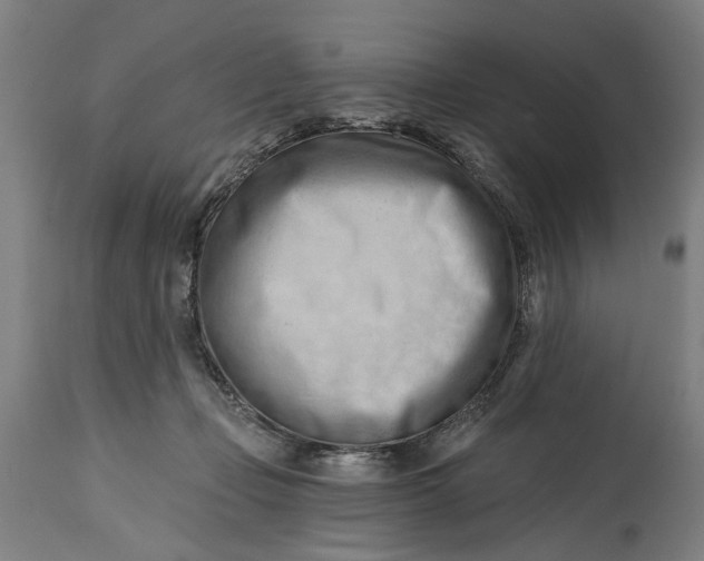 X0000114630365200911101242