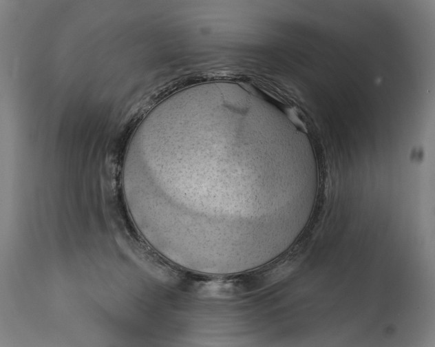 X0000114630366200911101242