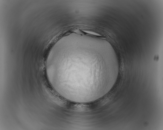 X0000114630367200911101242