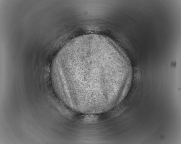 X0000114630369200911101242