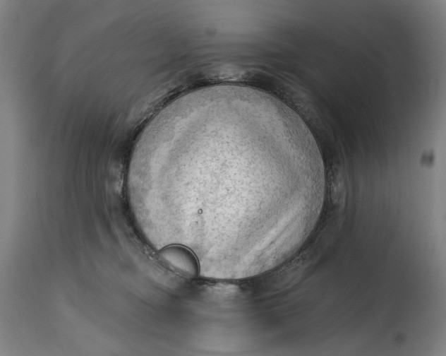 X0000114630374200911101242