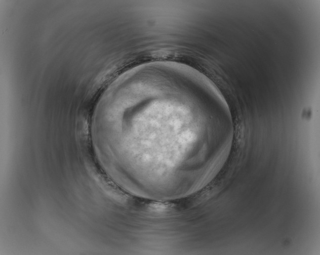 X0000114630375200911101242