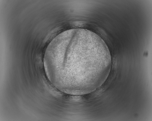 X0000114630377200911101242