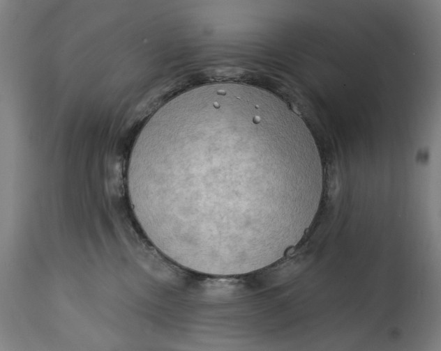 X0000114630378200911101242