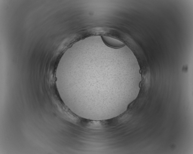 X0000114630381200911101242