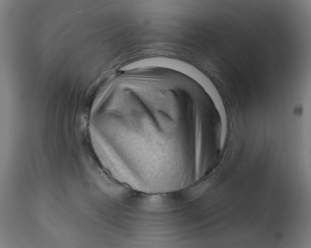 X0000114630382200911101242