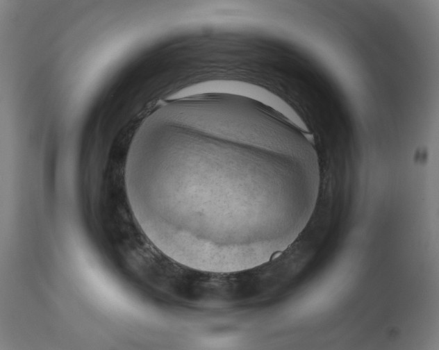 X0000114630383200911101242