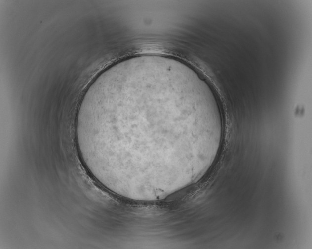 X0000114630385200911101241