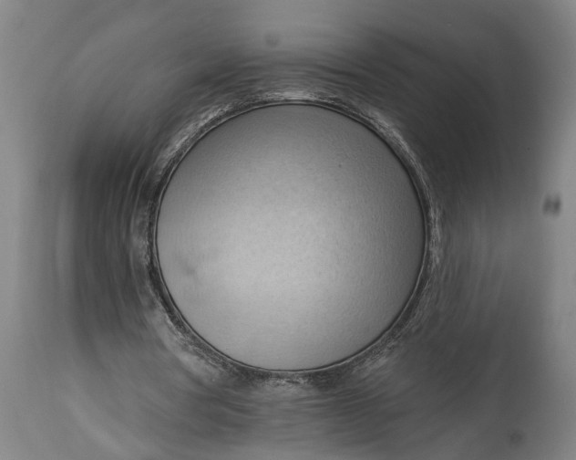 X0000114630386200911101241