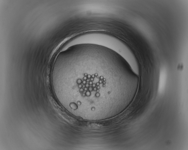 X0000114630387200911101241