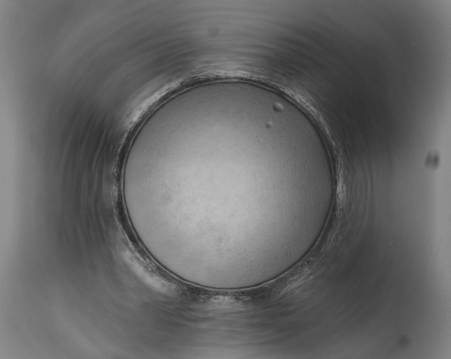 X0000114630390200911101241