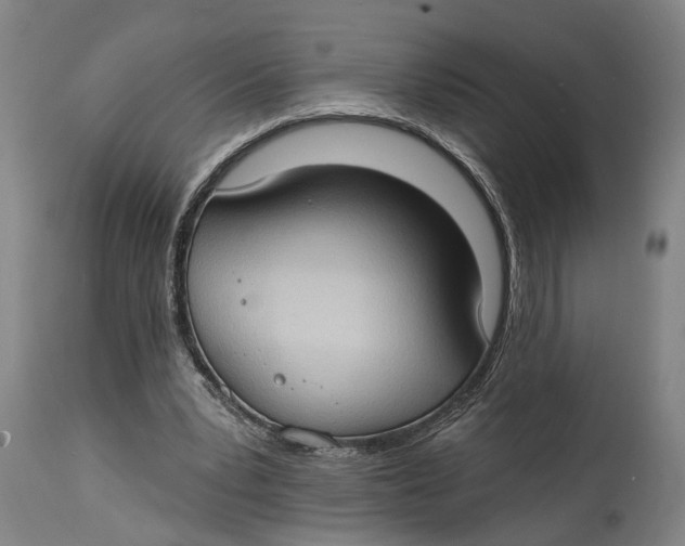 X0000114630391200911101241