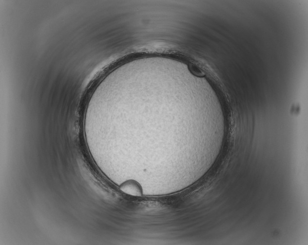 X0000114630392200911101241