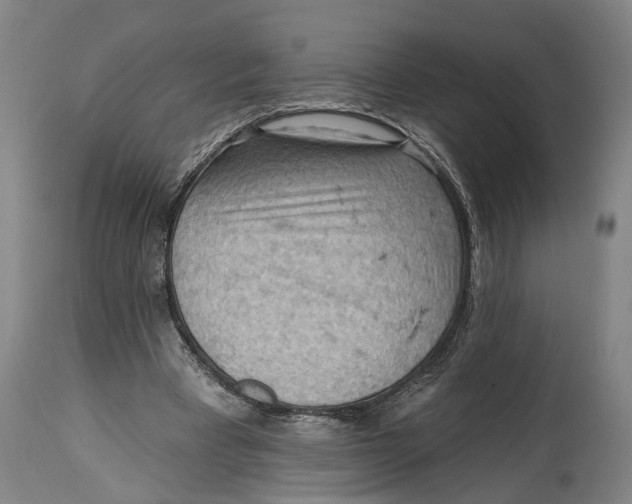 X0000114630393200911101241