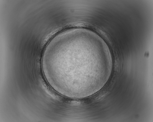 X0000114630394200911101241