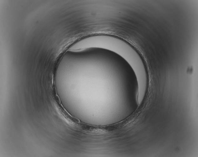 X0000114630397200911101241