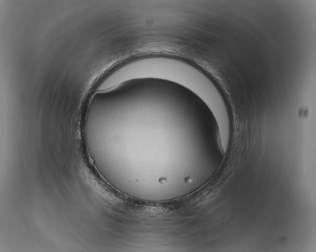 X0000114630399200911101241