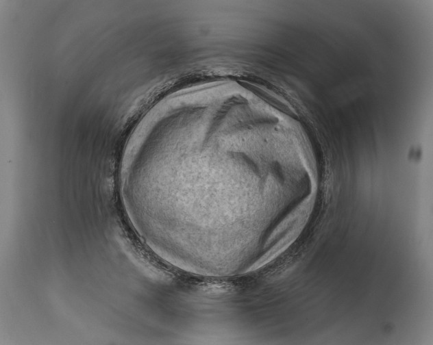 X0000114630402200911101241