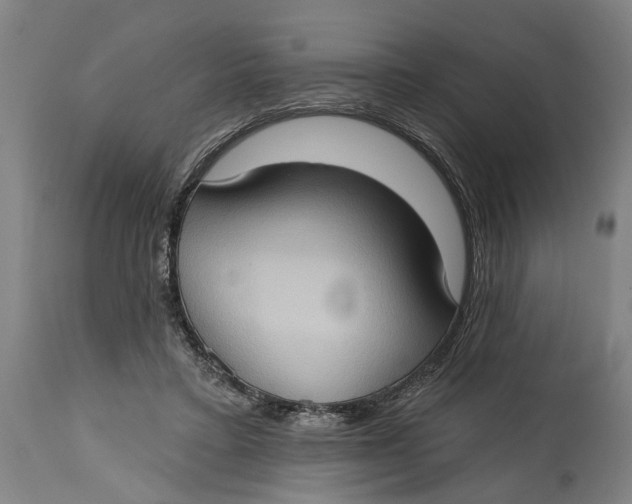 X0000114630403200911101241