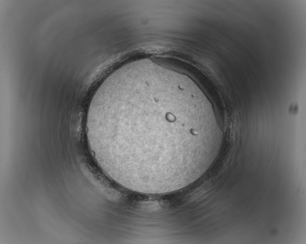 X0000114630404200911101241