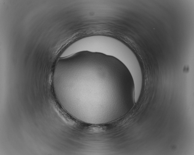 X0000114630405200911101241