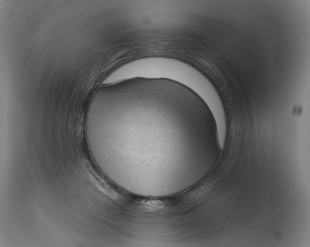 X0000114630409200911101241