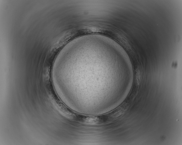 X0000114630410200911101241