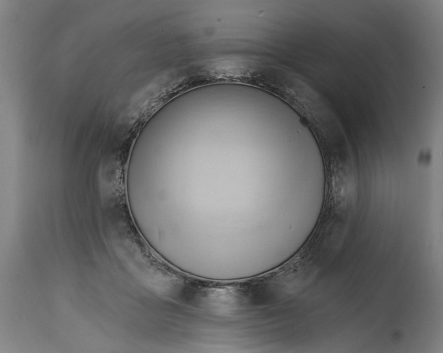 X0000114630411200911101241