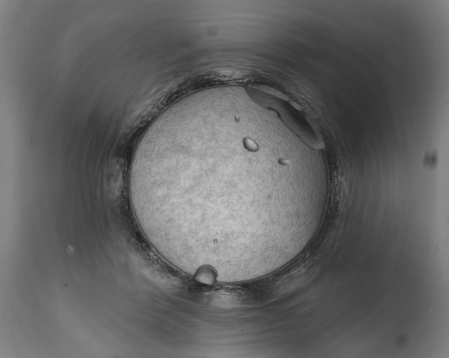 X0000114630412200911101241