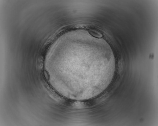 X0000114630413200911101241