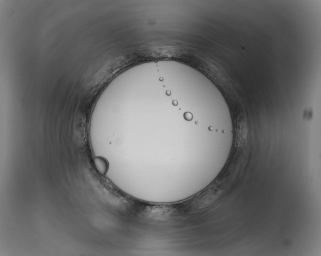 X0000114630414200911101241