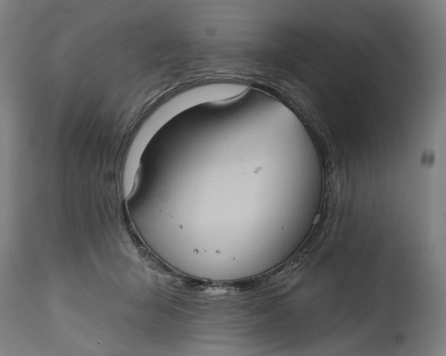 X0000114630415200911101241