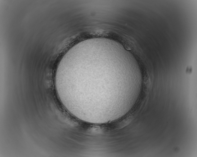 X0000114630416200911101241